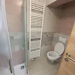 Apartma Rozle Mojstrana