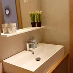Διαμέρισμα Apartma Rozle