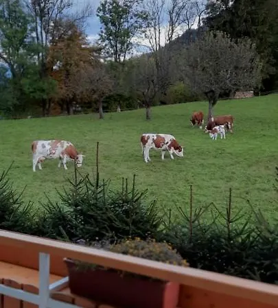 Lägenhet Apartma Rozle Mojstrana