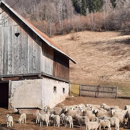 Apartma Rozle Mojstrana