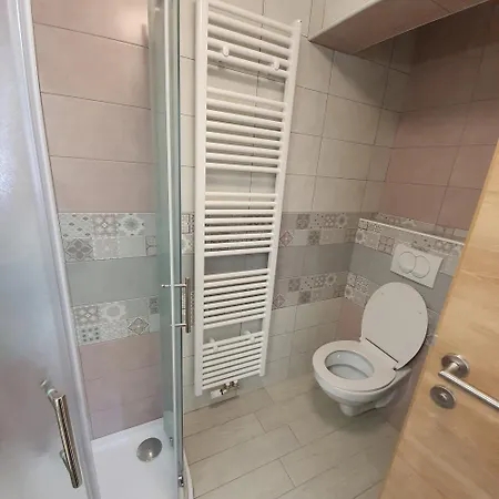 Apartma Rozle Mojstrana