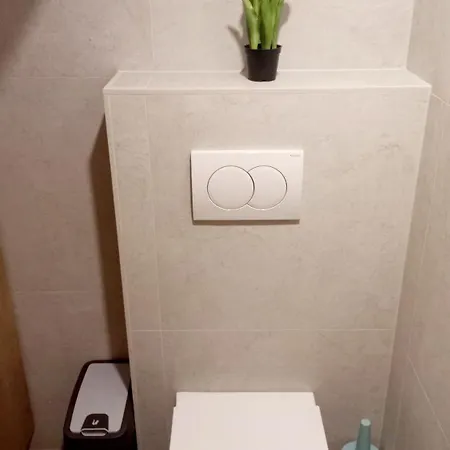 Apartma Rozle * Mojstrana