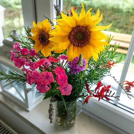 Apartma Rozle Appartamento Mojstrana