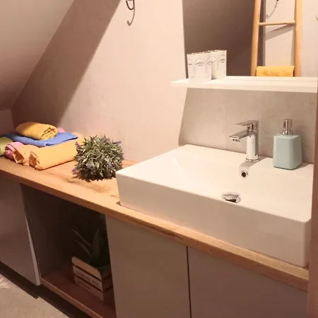 Apartma Rozle Mojstrana