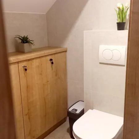 Apartma Rozle * Mojstrana