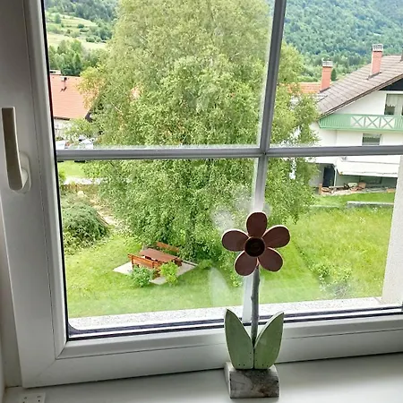 Apartma Rozle Mojstrana