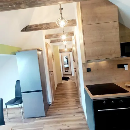 Apartma Rozle Mojstrana