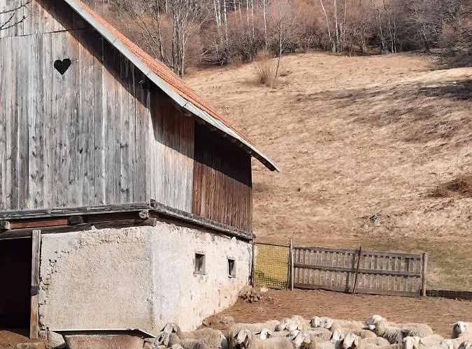 Apartma Rozle モイストラナ